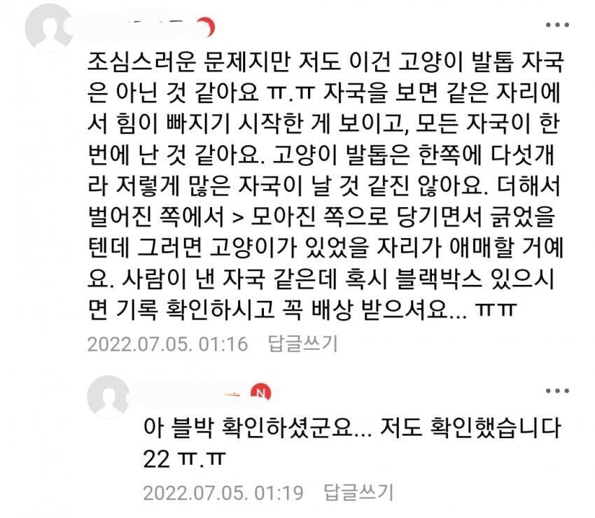 ???:고양이는 자동차안긁는다구욧!!