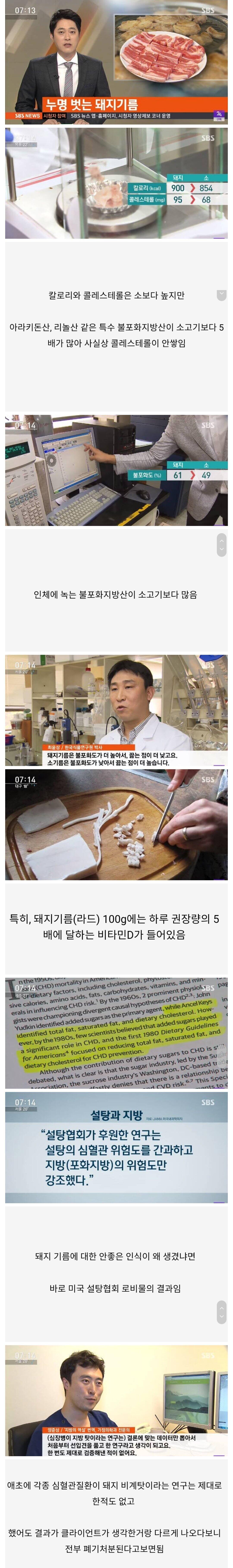 드디어 누명 벗은 돼지 기름의 진실 ㄷㄷ