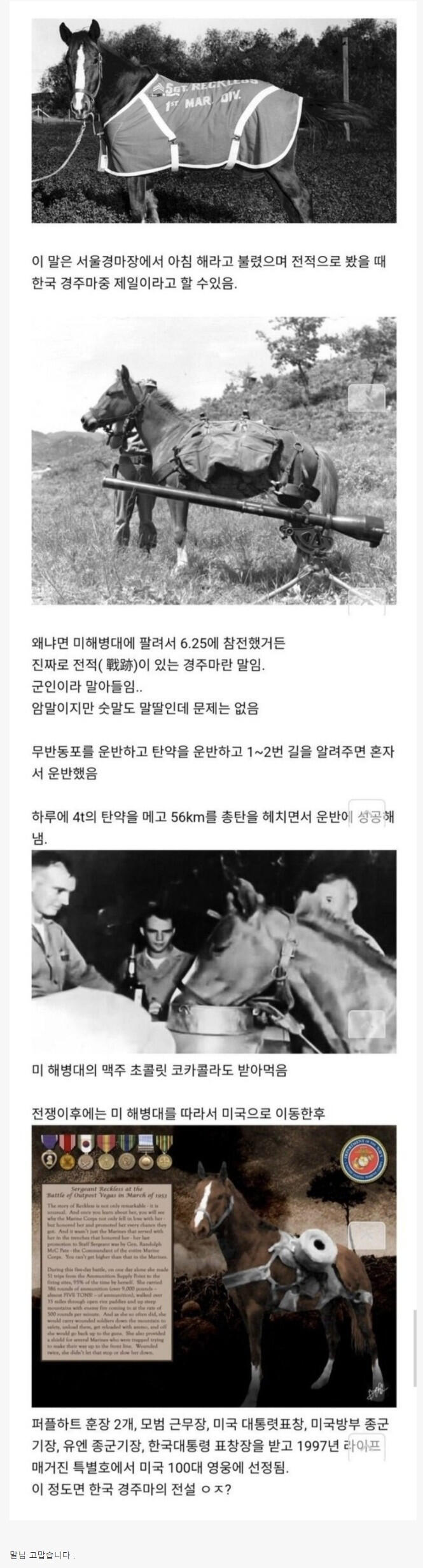 한국 전설의 경주마 클라스.JPG