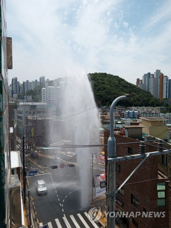 터져버린 부산 근황.