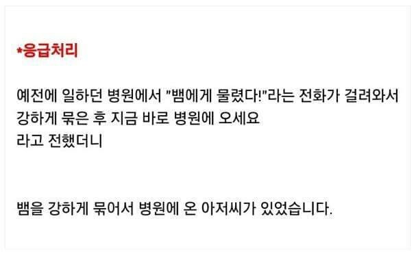 뱀에게 물렸을때