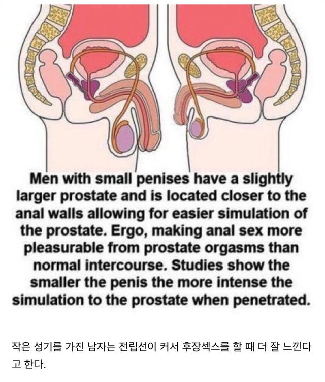 고추 작은 남자의 장점