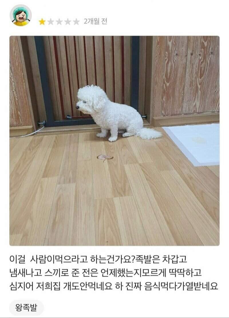 개도 안먹는 족발 배민 리뷰  킹댕이도 거르는 족발