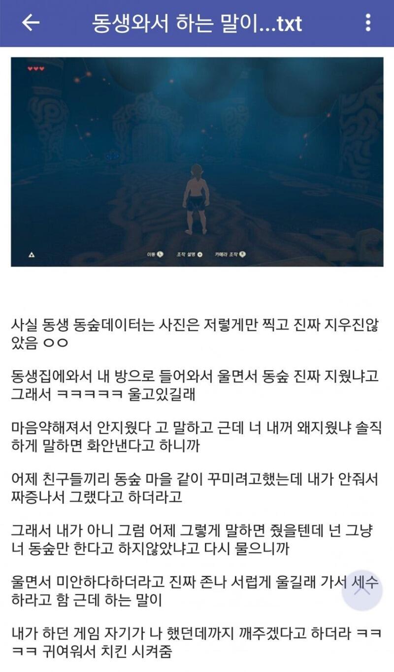 여동생이 게임 세이브파일 삭제함