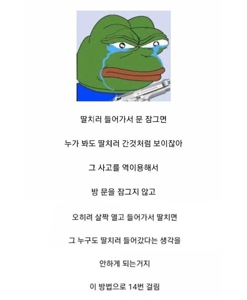 디시 전과14범 역딸좌