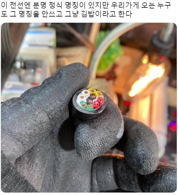 절대 자기 이름으로는 불릴 수 없는 물건.jpg