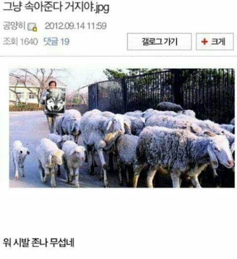 그냥 속아준다 거지야