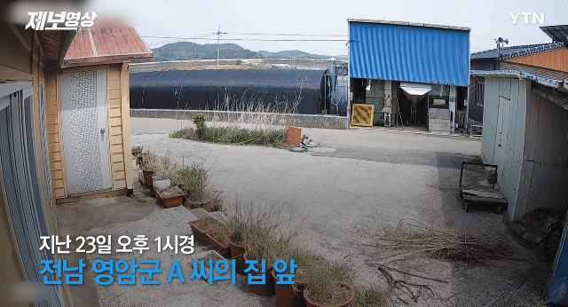 치밀한 시골 절도 클라스