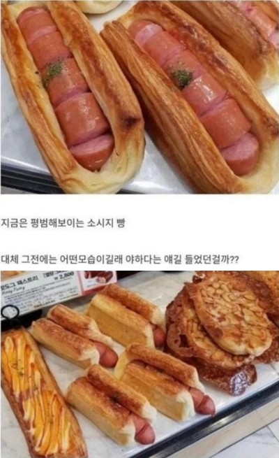뚜레쥬르 빵 실화일까요？