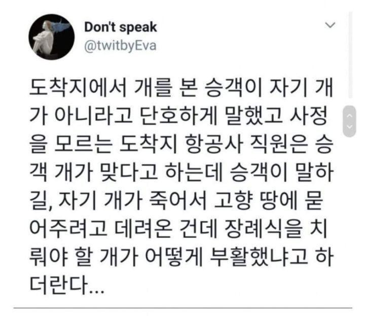 항공기 수화물 레전드