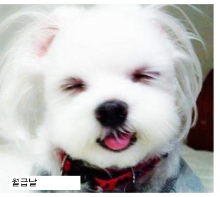 개표정으로본 회사
