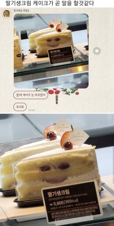 딸기생크림케이크 무섭네ㄷㄷ