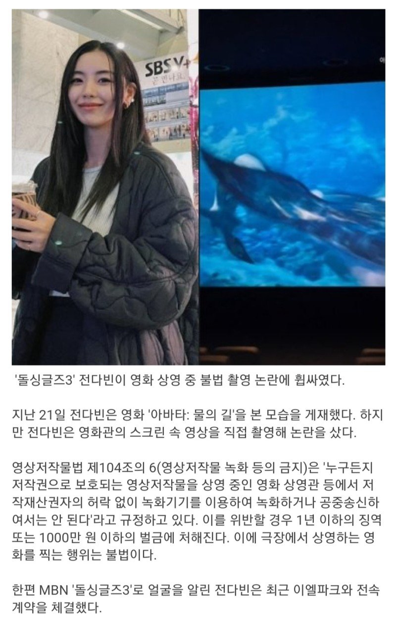 전다빈, '아바타2' 불법 촬영 논란…'1년 이하 징역, 1000만원 이하