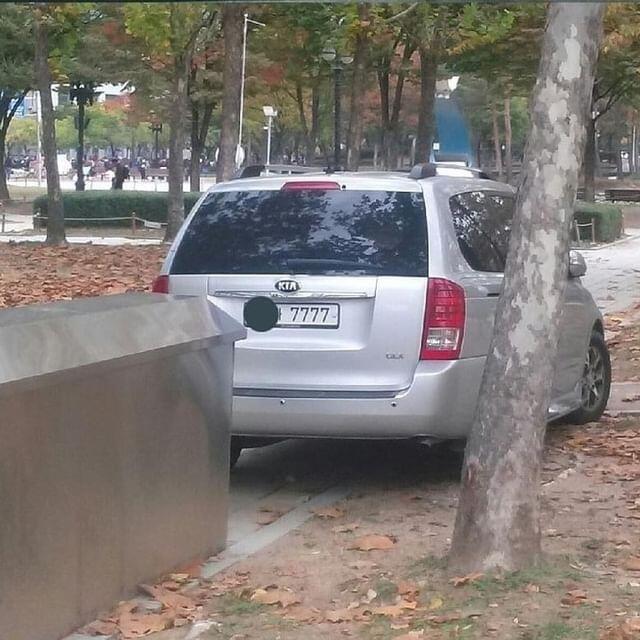 5년을 공들인 뻘짓