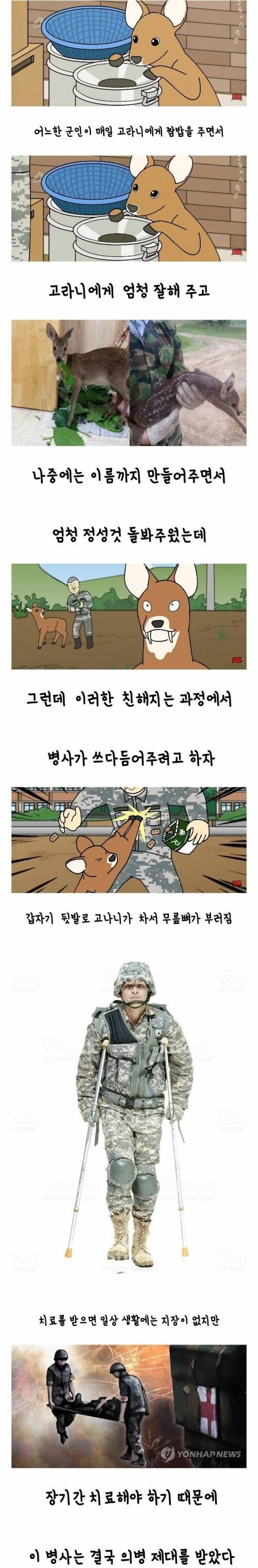 은혜 갚은 고라니