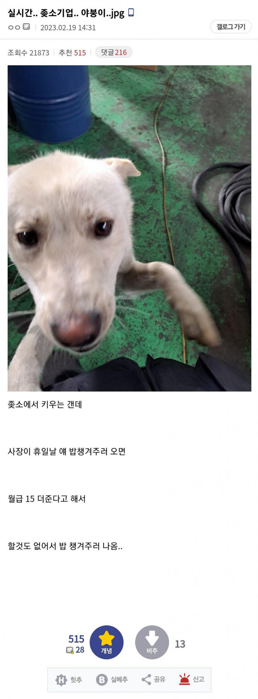 휴일날에 나오는 ㅈ소기업 직원