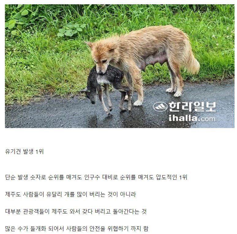 제주도가 전국에서 1위 하는 것