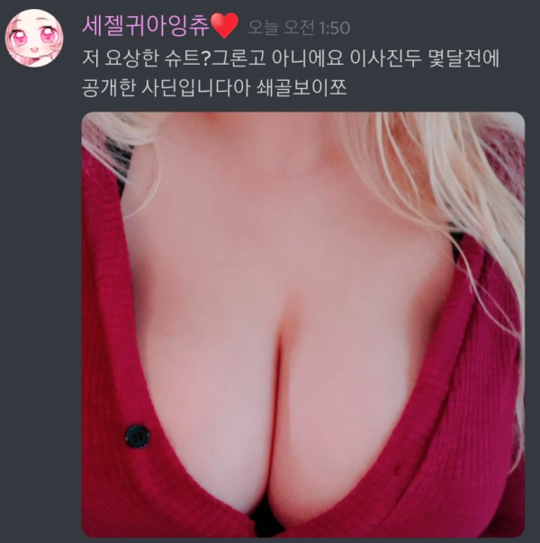 가슴 노출했다가 정지당하고 이적 선언한 트위치 여캠