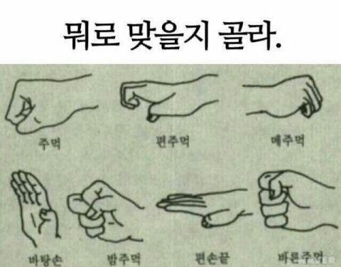 주먹 드립모임