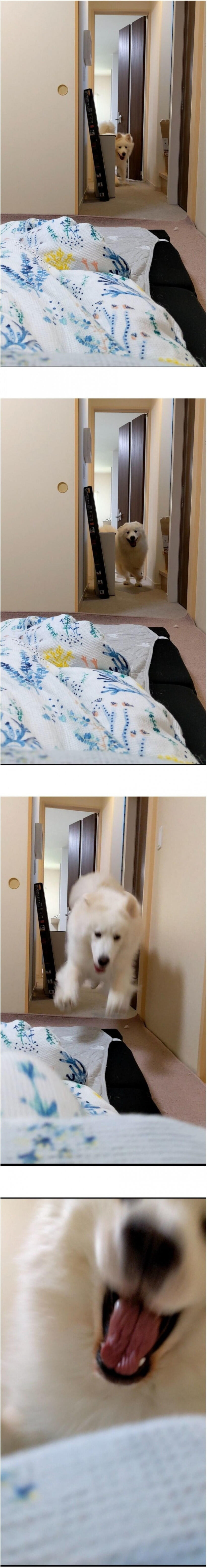 습격 당하기 직전에 남긴 사진