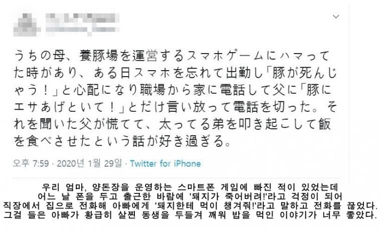 돼지 키우는 폰게임에 푹 빠진 엄마