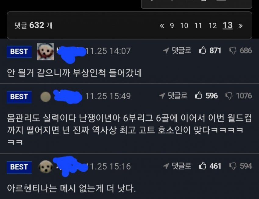 아르헨티나 사우디전 이후 나뭇잎마을 여론