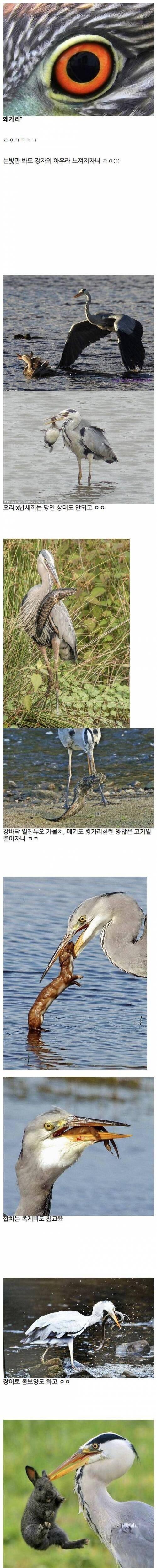 의외로 잘 모르는 습지 세계관 최강.jpg