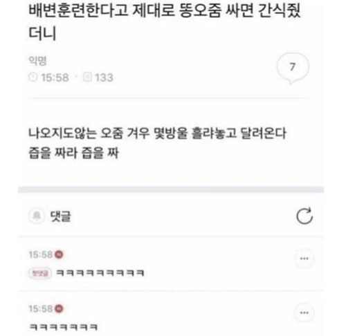 배변훈련을 하던 강아지가 결국