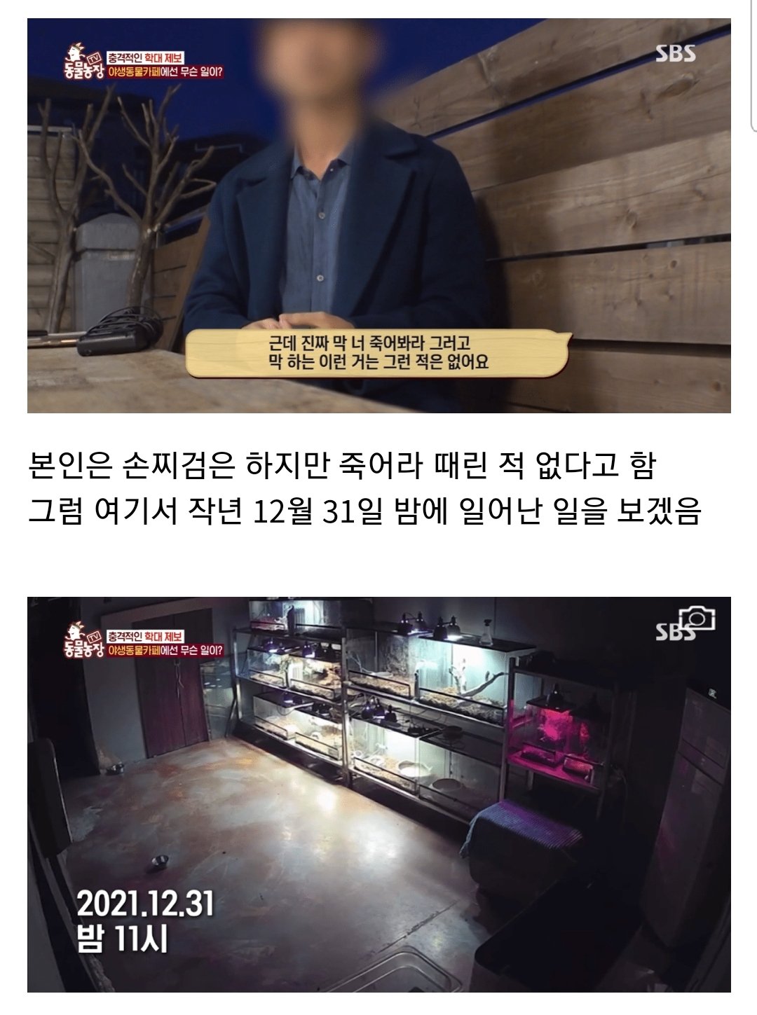 포텐 수달 동물학대 보고 잊지 말아야할 최근사건