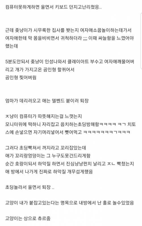 울집냥이 명절 때 조카몬들 물리친 썰.jpg