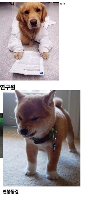 개표정으로본 회사