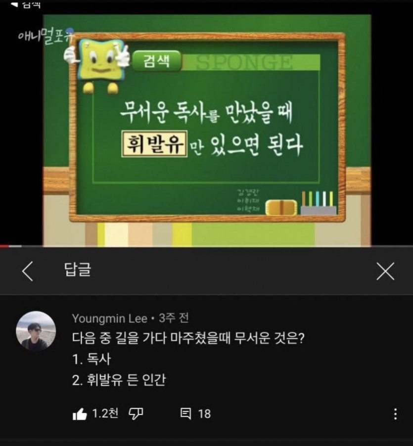 길에서 독사를 만났을 때 대처법