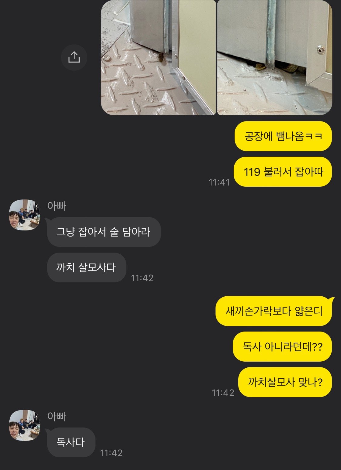 회사에 뱀나옴ㅋㅋ