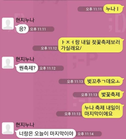 누나 저랑 벚꽃축제 보러 가실래요