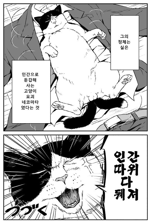 어디에나 있는 극히 평범한 중간 관리직의 비밀.manga