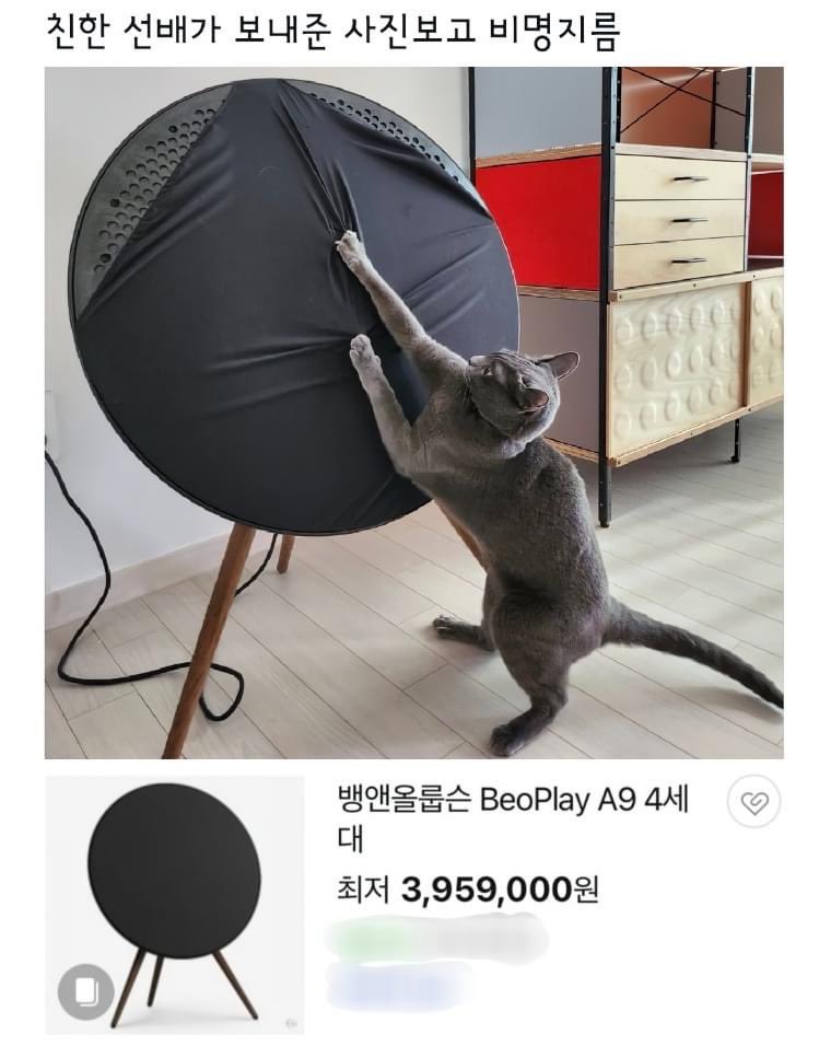 보자마자 기절