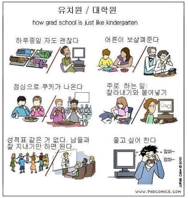 유치원과 대학원의 공통점
