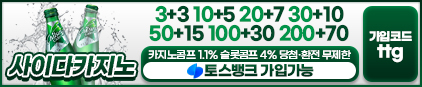 호호툰 접속불가